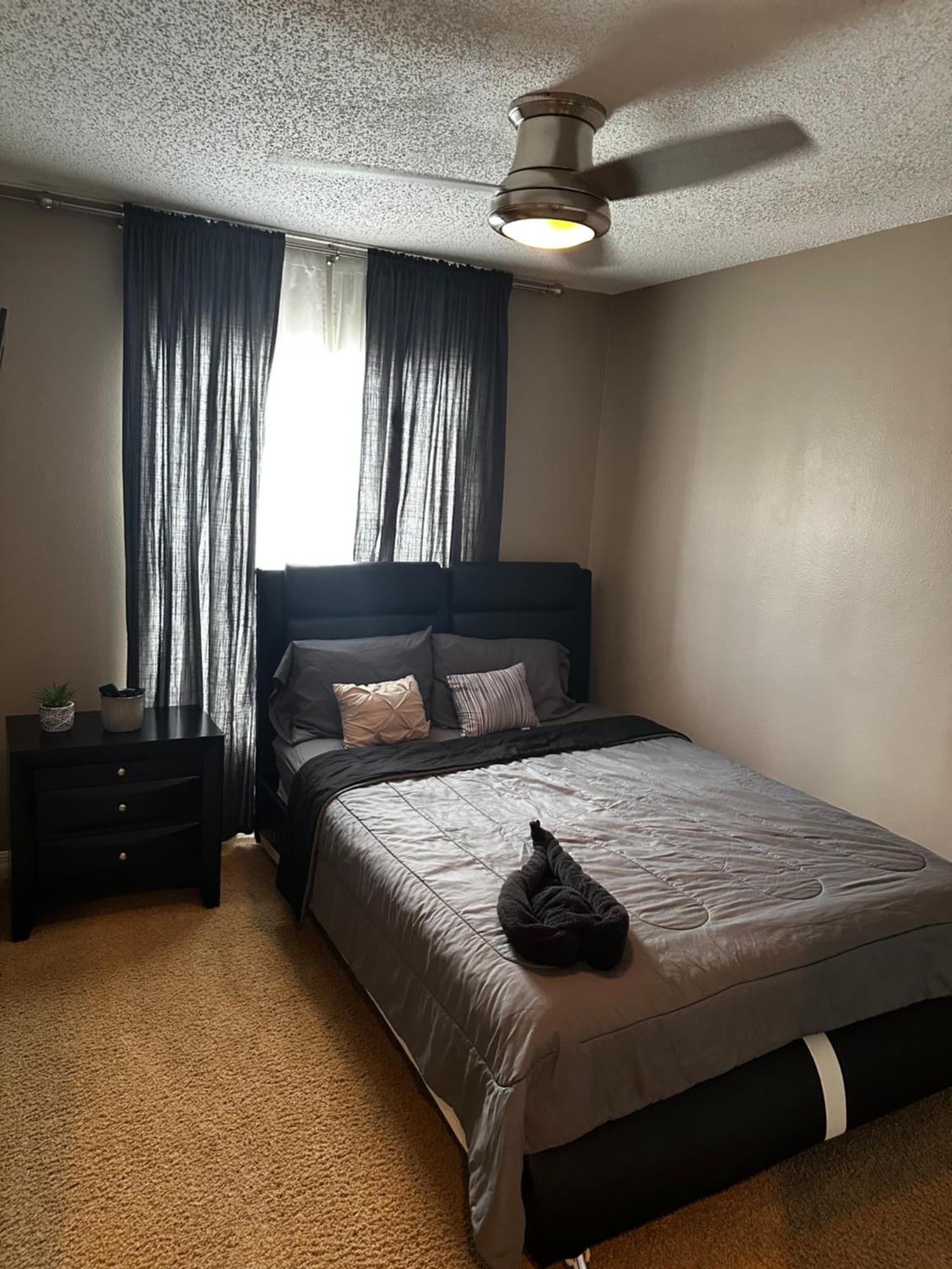 Cozy 3 Bedroom Home Close To Everything In Tampa! 外观 照片